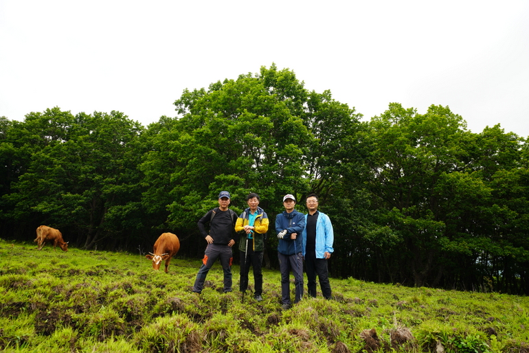 点击查看原图大小