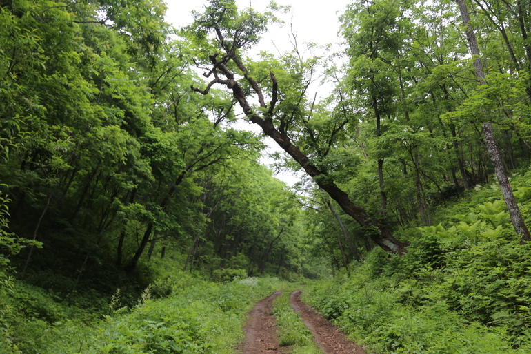 点击查看原图大小