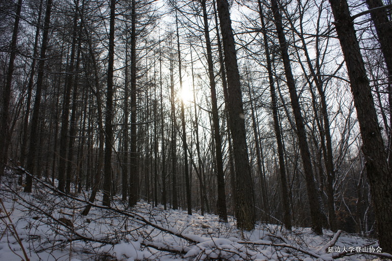 点击查看原图大小