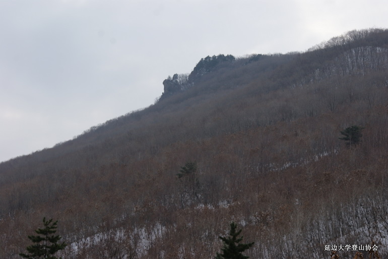 点击查看原图大小