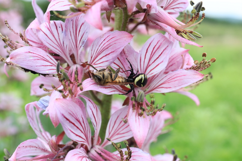 点击查看原图大小