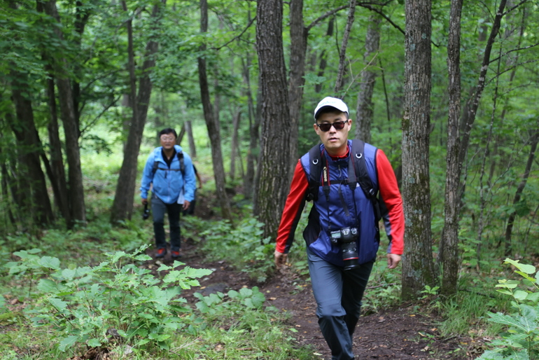 点击查看原图大小