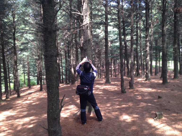 点击查看原图大小