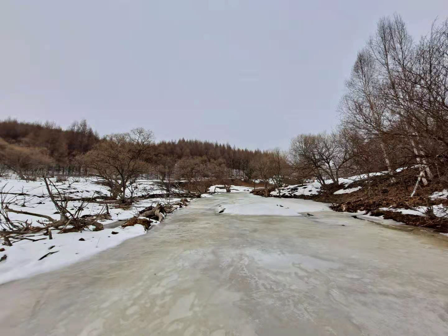 点击查看原图大小