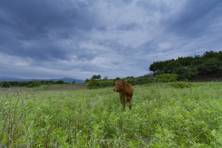 点击查看原图大小