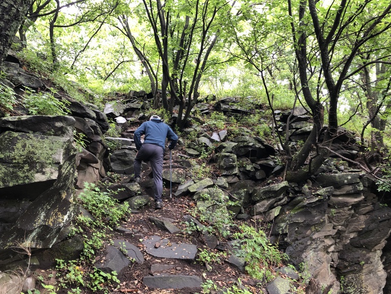 点击查看原图大小