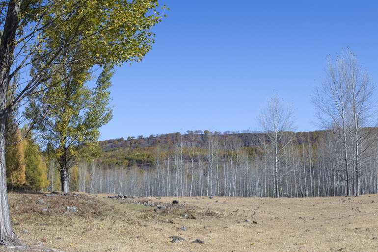 点击查看原图大小