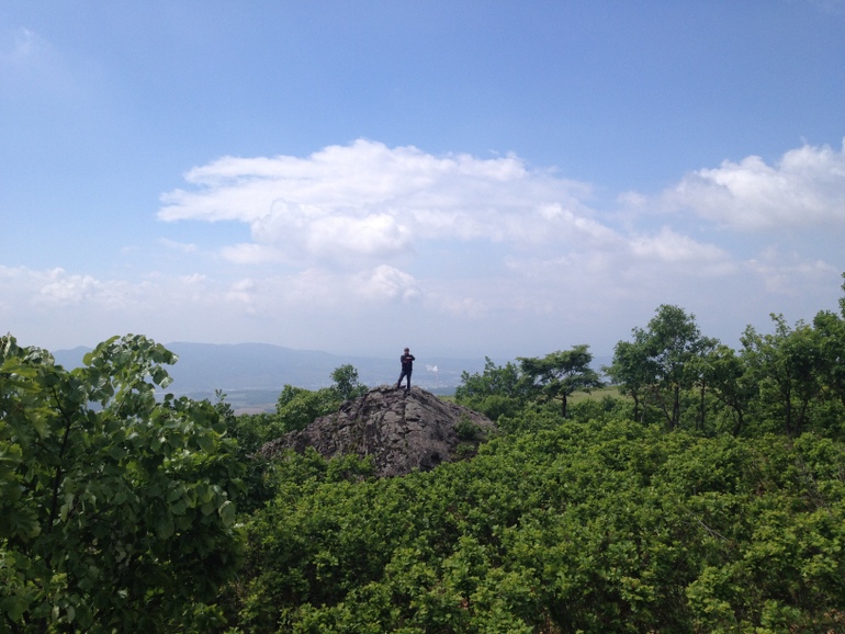 点击查看原图大小