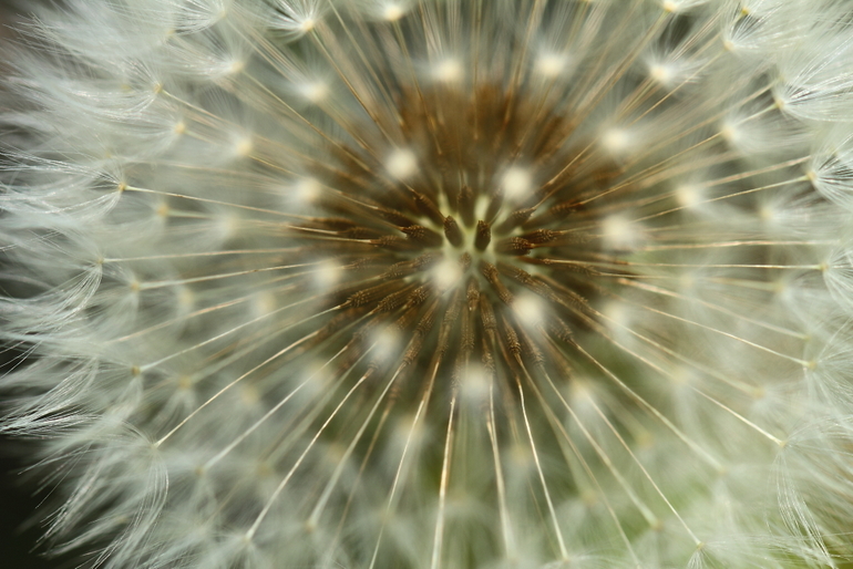 点击查看原图大小