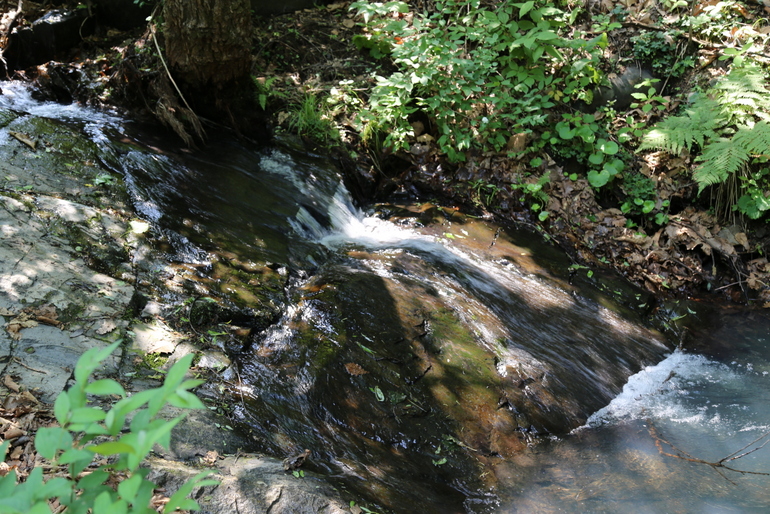 点击查看原图大小