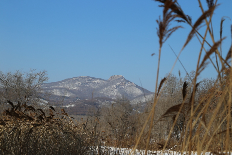 点击查看原图大小
