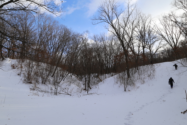 点击查看原图大小
