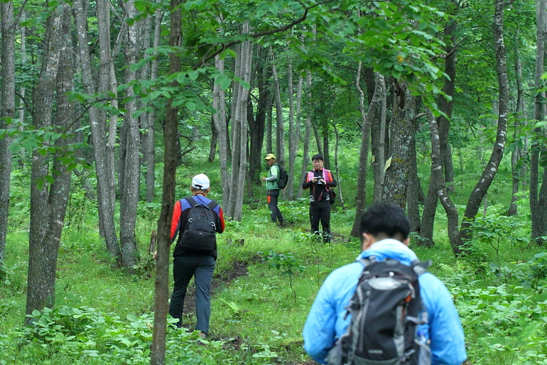 点击查看原图大小