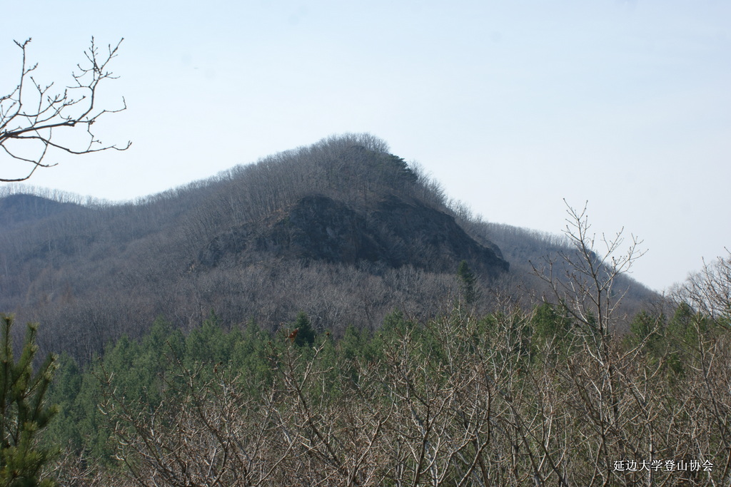 点击查看原图大小