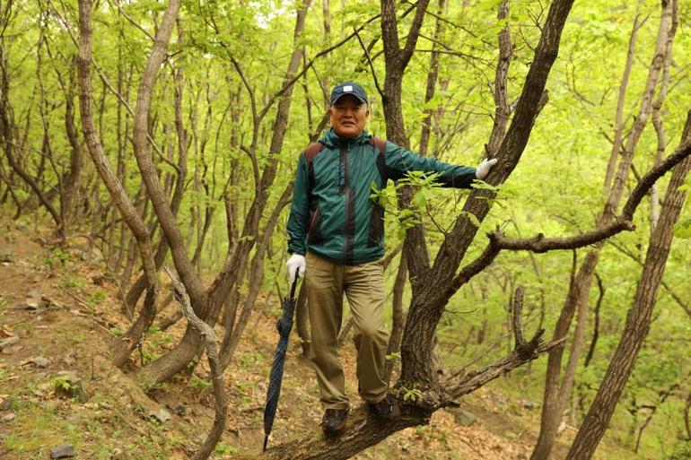 点击查看原图大小