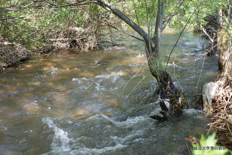 点击查看原图大小