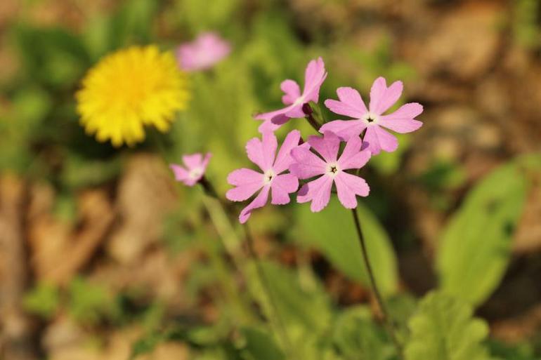 点击查看原图大小