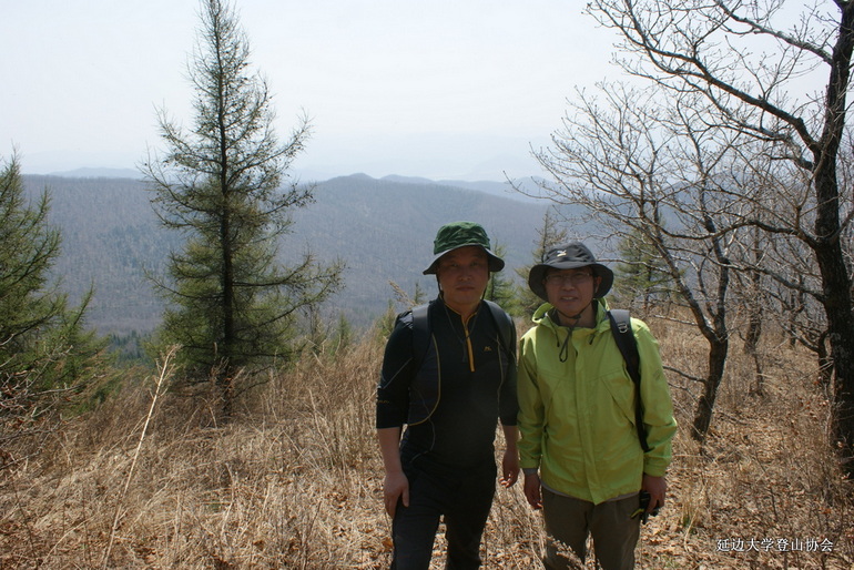 点击查看原图大小