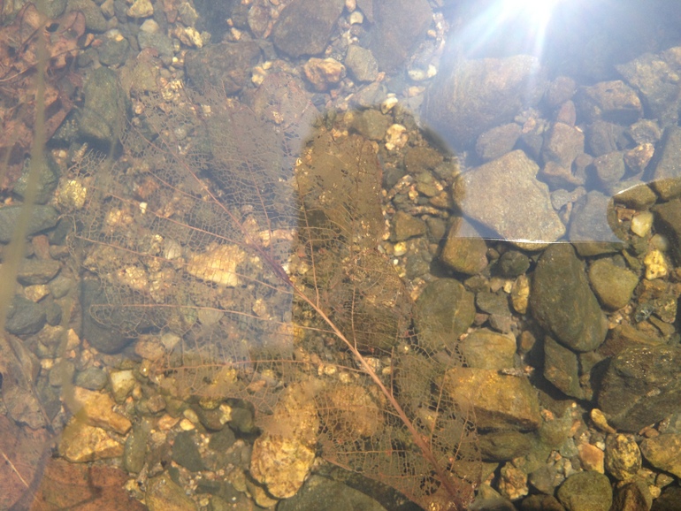 点击查看原图大小