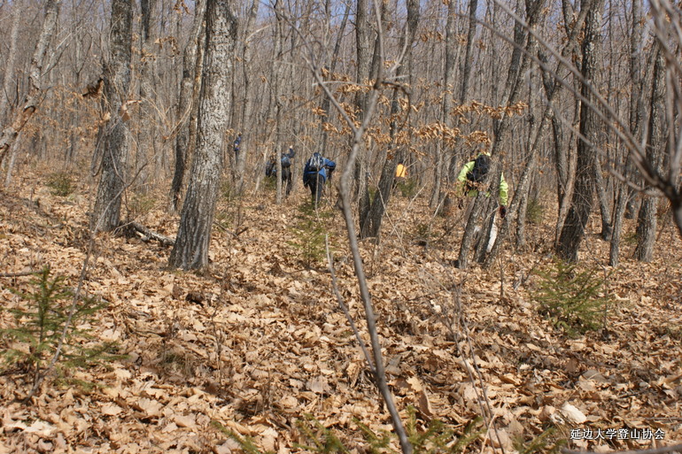 点击查看原图大小