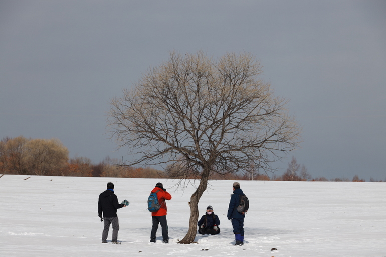 点击查看原图大小