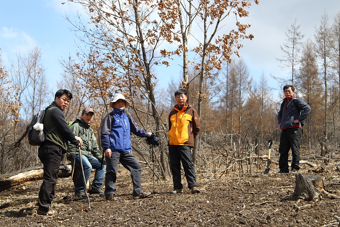 点击查看原图大小