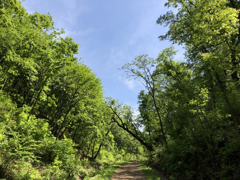 点击查看原图大小