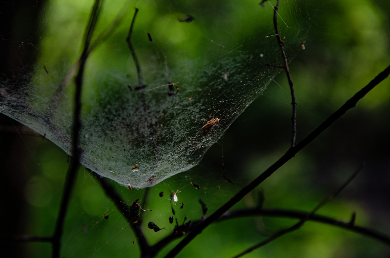 点击查看原图大小
