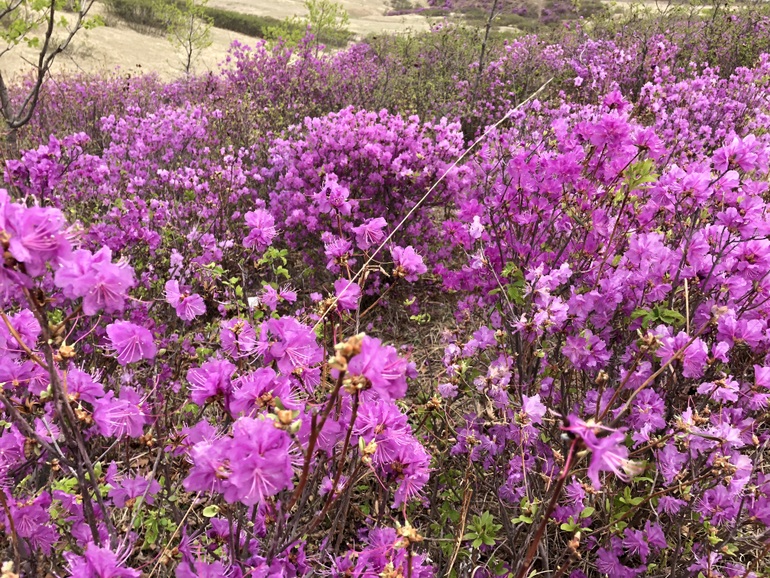 点击查看原图大小