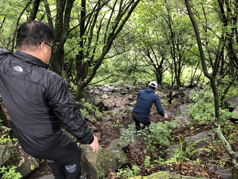 点击查看原图大小