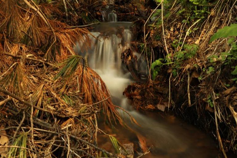 点击查看原图大小