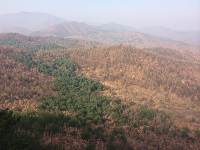 点击查看原图大小