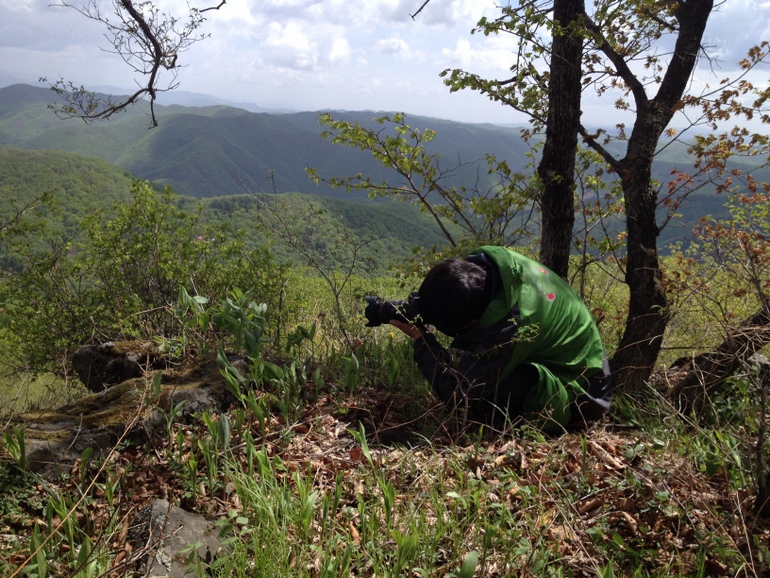 点击查看原图大小