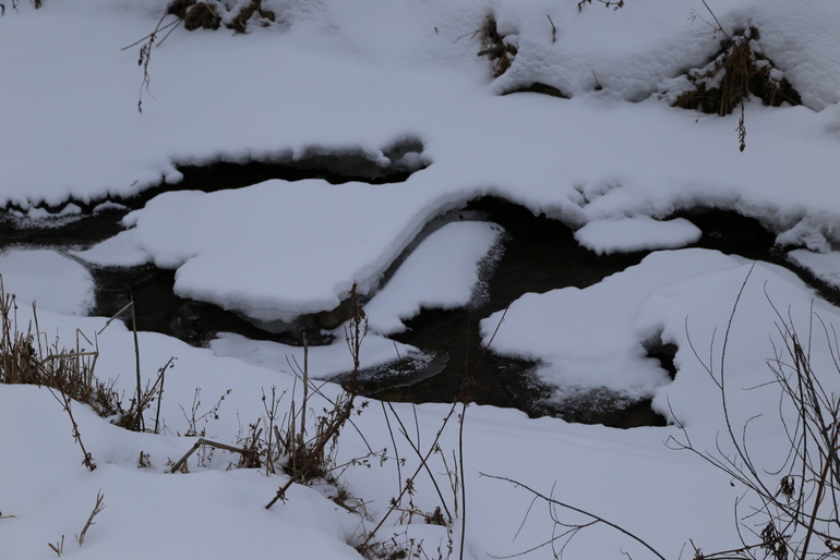 点击查看原图大小