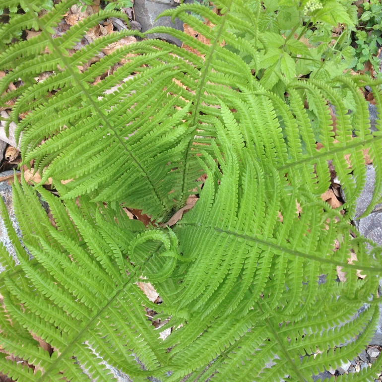 点击查看原图大小