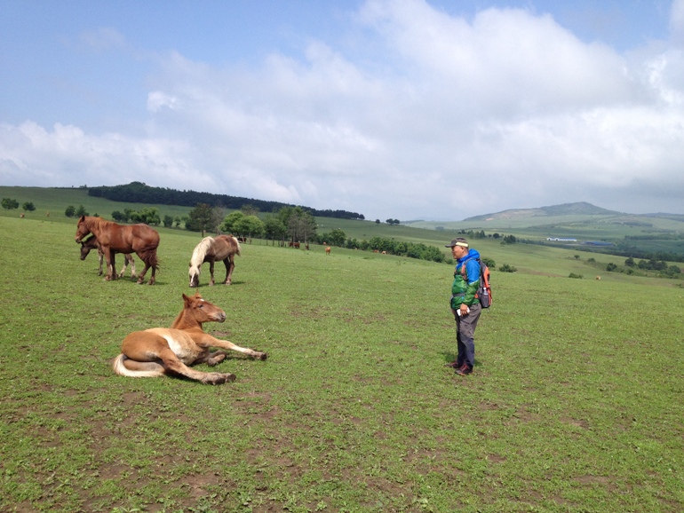 点击查看原图大小