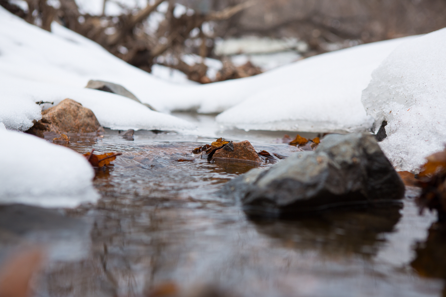 点击查看原图大小