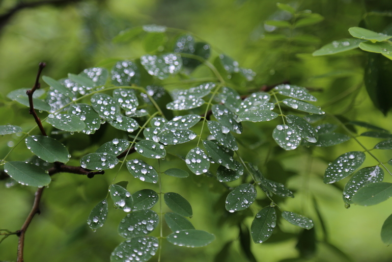 点击查看原图大小