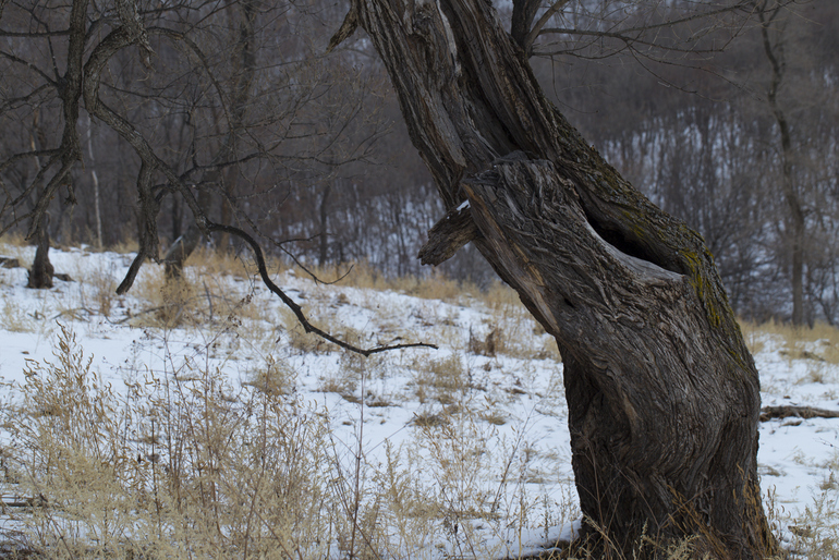点击查看原图大小