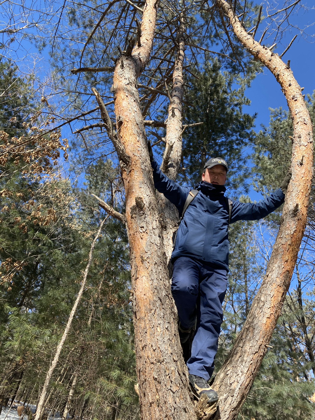 点击查看原图大小