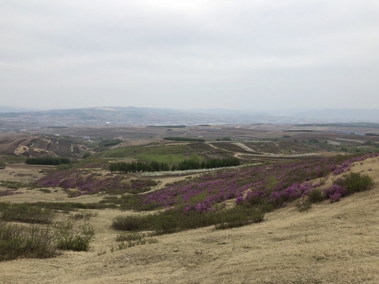 点击查看原图大小