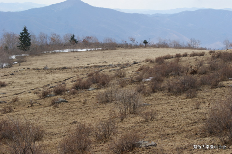 点击查看原图大小