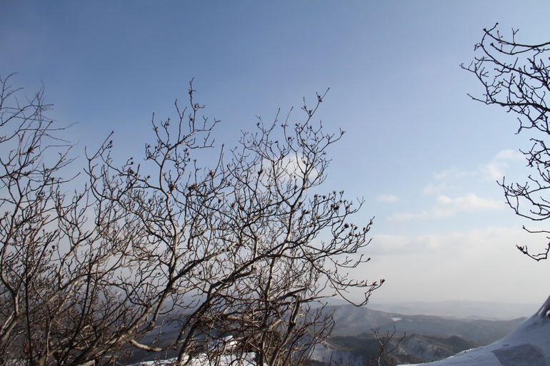 点击查看原图大小