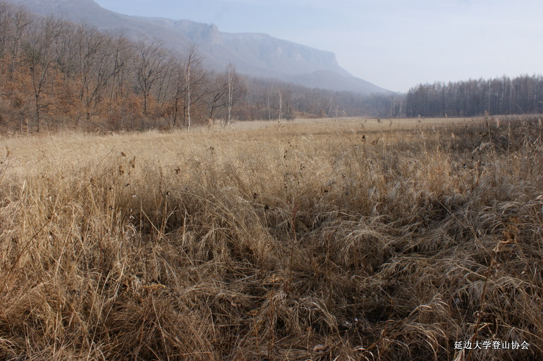 点击查看原图大小