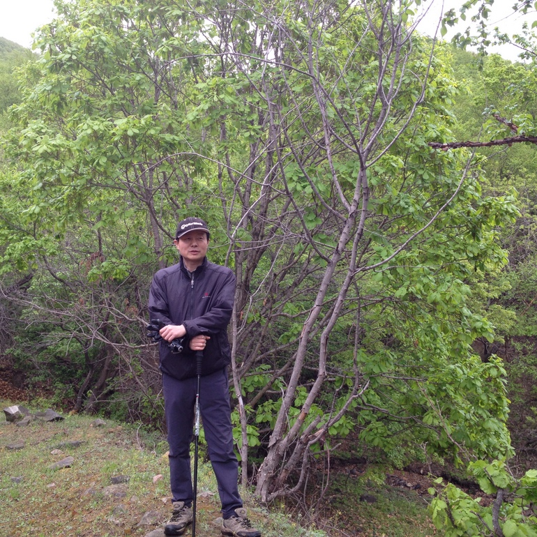 点击查看原图大小