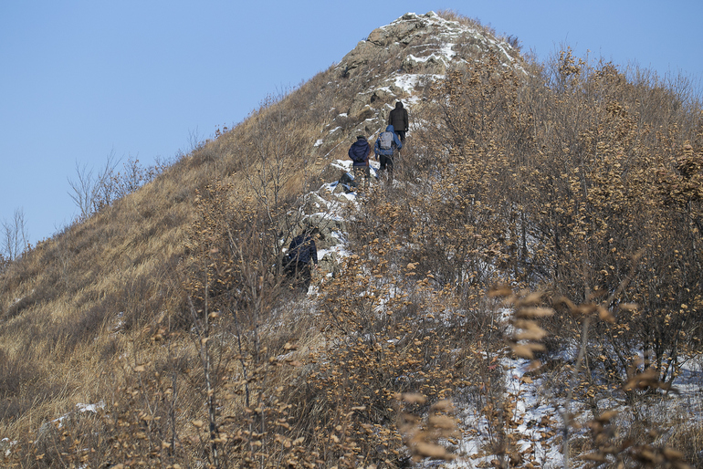 点击查看原图大小