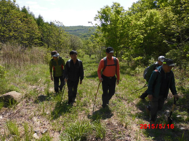 点击查看原图大小