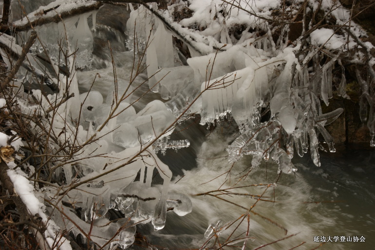 点击查看原图大小