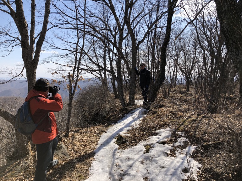 点击查看原图大小