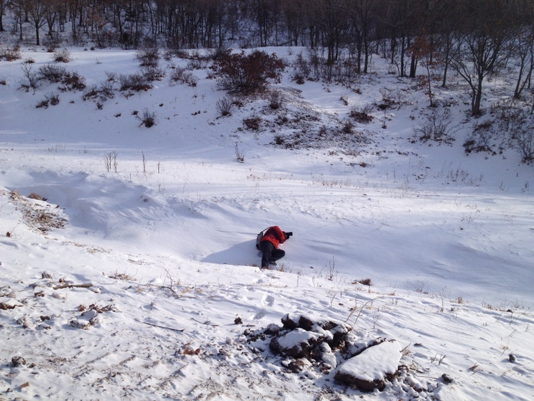 点击查看原图大小